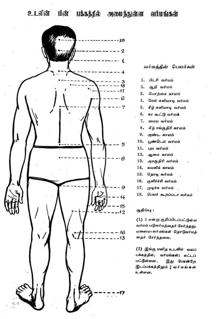 வர்மக்கலை