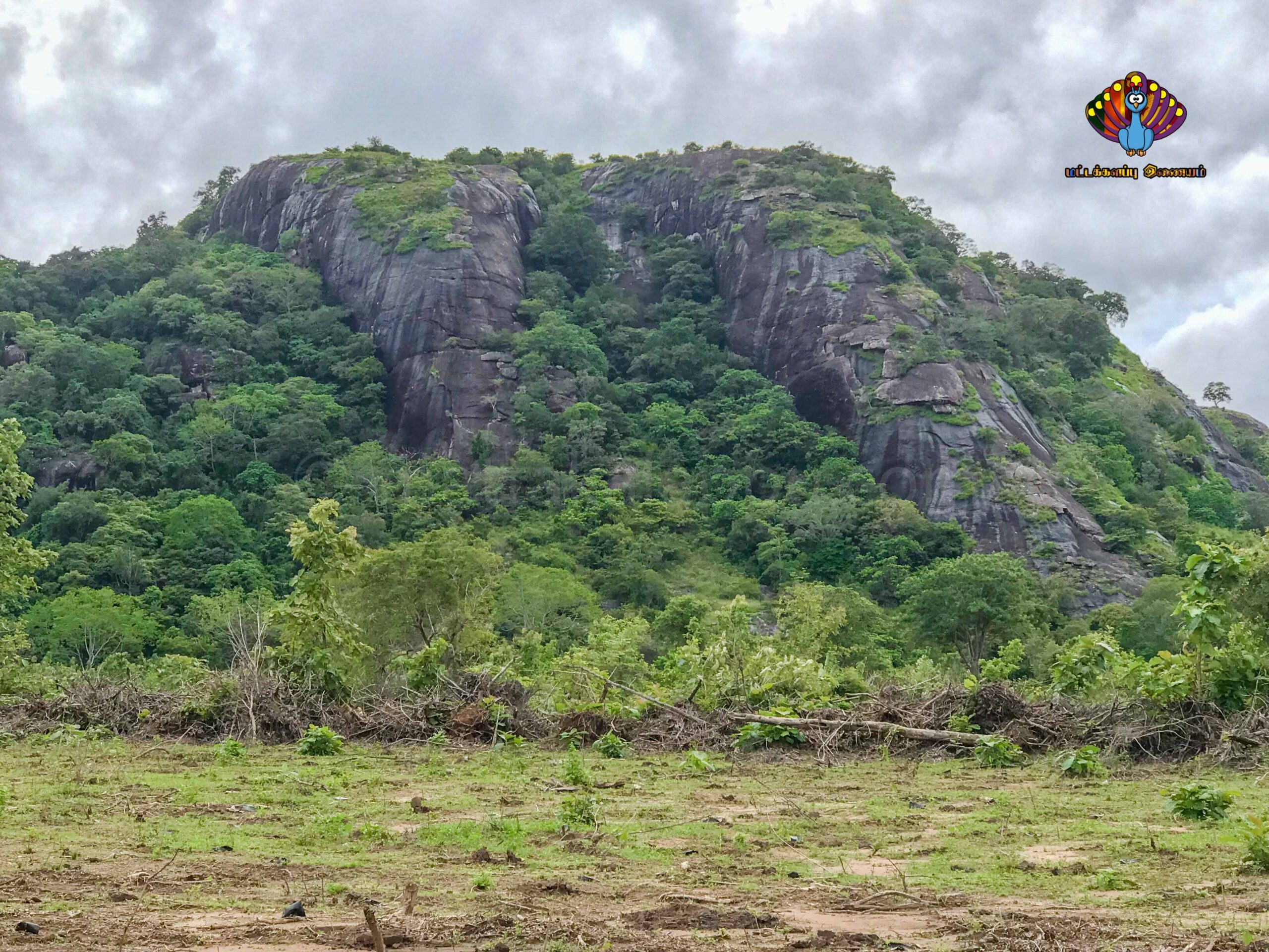 யானைக்கல் மலை