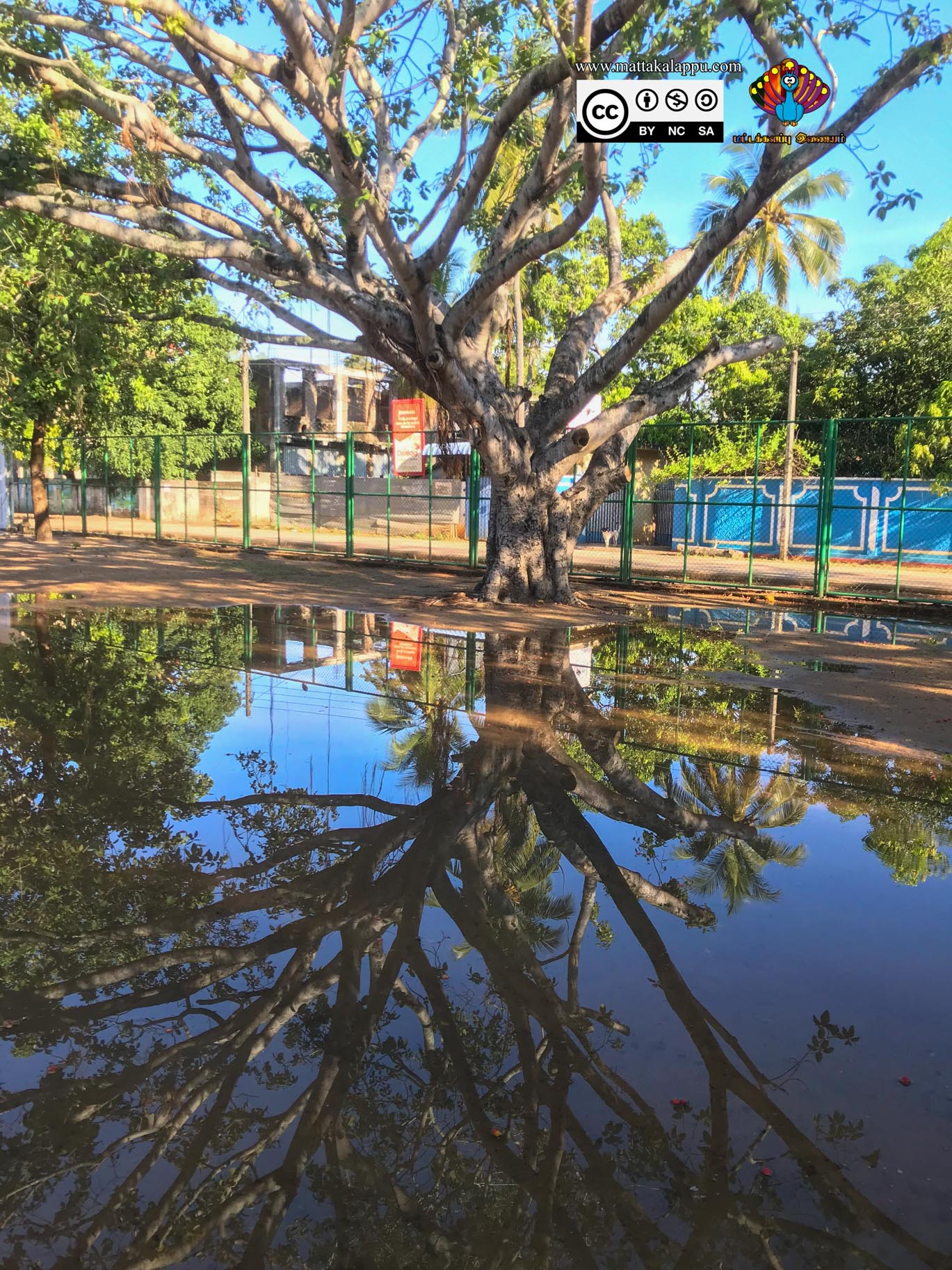 மட்டக்களப்பு இணையம்  படுவான்கரை 