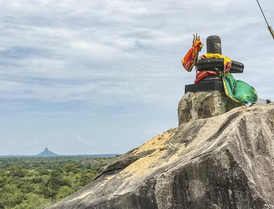 மயில்தங்கிய மலை